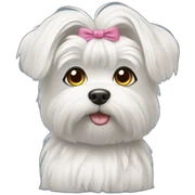 Maltese with hair tied up sticker