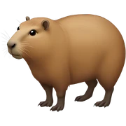 capybara  sticker