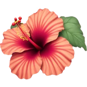 Hibiscus flower sticker