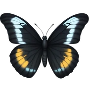 Black butterfly sticker