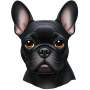 black french bulldog  sticker