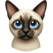 Siamese cat sticker