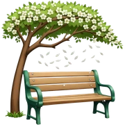a park bench with white blossom falling  sticker