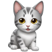 Gatinho sticker
