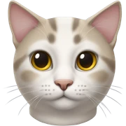 cat sitting gracefully, showing its full face, neck, and upper chest area. sticker