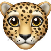 leopard bow sticker