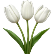white tulips sticker