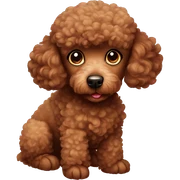 Cute brown poodle sticker
