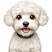 Maltipoo sticker