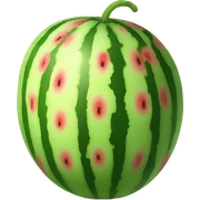 Watermelon  sticker