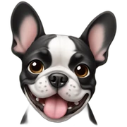 Frenchie sticker