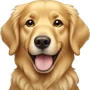 golden retriever  sticker
