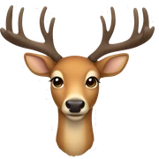 deer  sticker