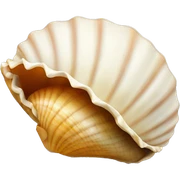 Shell  sticker