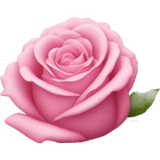 Pink rose sticker