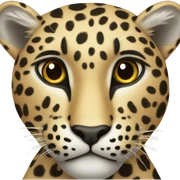 Leopard  sticker