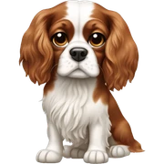 Cavalier Charles spaniel sticker
