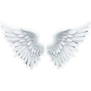 angel wings sticker
