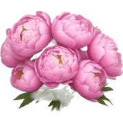 bouquet of peonies sticker