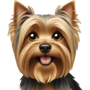 Yorkshire terrier sticker