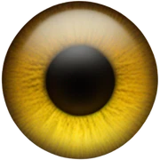 eye of r sticker