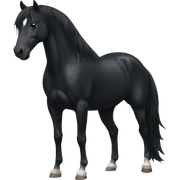 Black horse sticker