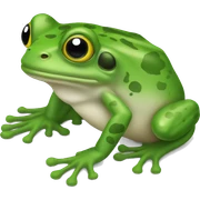 Frog  sticker
