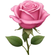 Pink rose sticker