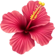Hibiscus flower  sticker