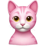 Pink cat sticker