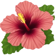 hibiscus sticker