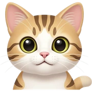 Cat sticker
