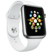 Apple Watch sticker