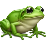 Frog  sticker