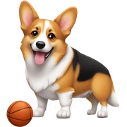 corgi with a basketball sticker