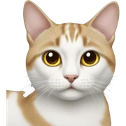 Un gato tudexo  sticker