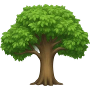 Tree  sticker
