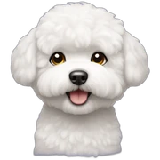 Bichon frise sticker