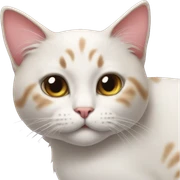 Cat wearing a bow sticker