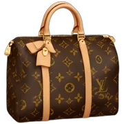 Louis Vuitton sticker