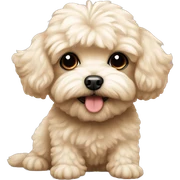 Maltipoo  sticker