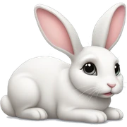 Cute bunny sticker