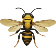  hornet sticker