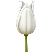 white tulip  sticker