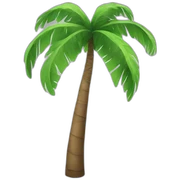 palm  sticker