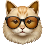 Cat with sunglasses sticker
