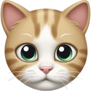 cat and bow sticker