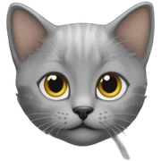 A grey kitten with a "Navid" text on top sticker