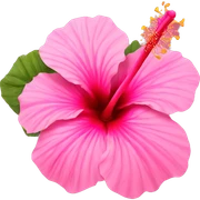 Pink hibiscus  sticker