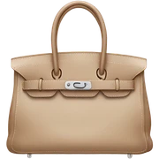 Birkin bag sticker